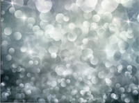 Bokeh - Silver